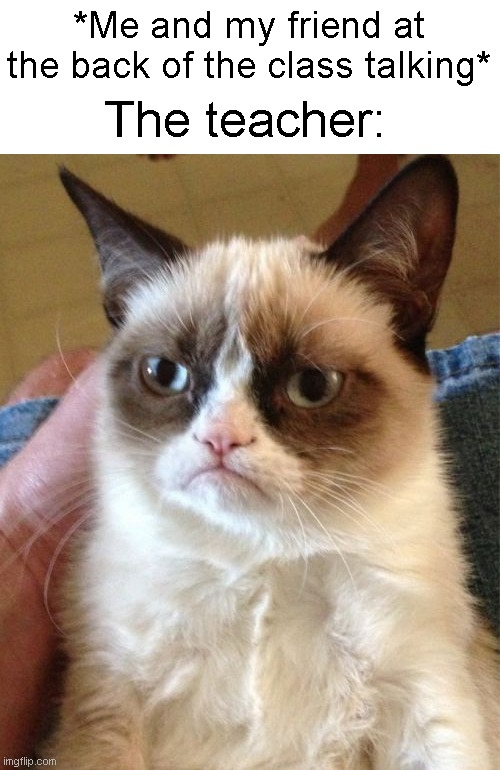 Grumpy Cat | *Me and my friend at the back of the class talking*; The teacher: | image tagged in memes,grumpy cat,funny,fun,true story | made w/ Imgflip meme maker