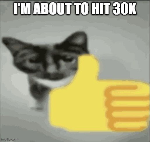 YAAYY | I'M ABOUT TO HIT 30K | image tagged in kitten like | made w/ Imgflip meme maker