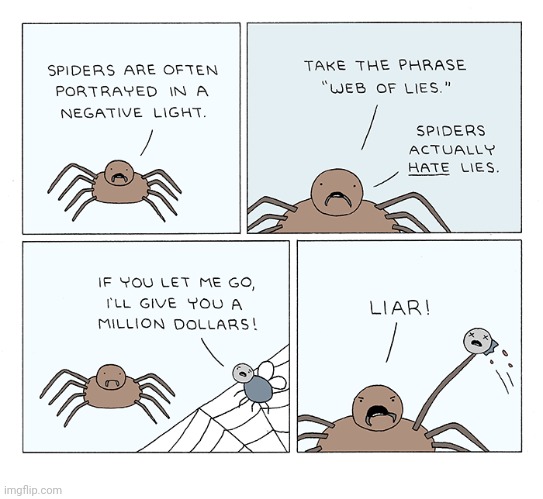 The web of lies | image tagged in spiders,spider,comics,comics/cartoons,web,lies | made w/ Imgflip meme maker
