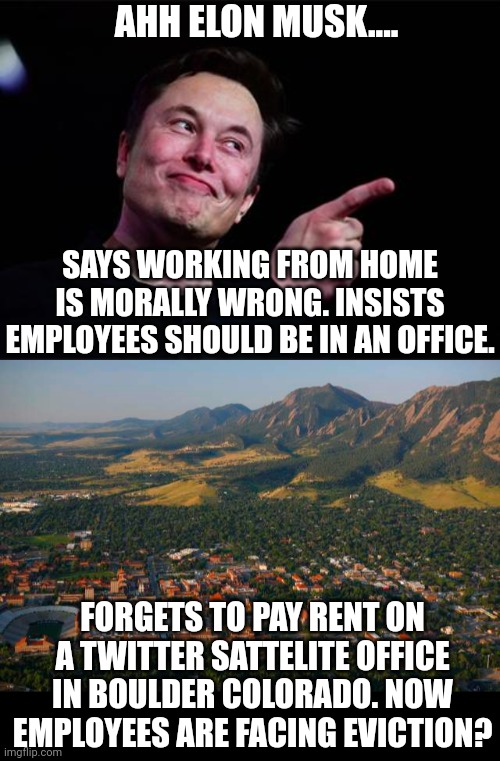 Elon Musk explaines what the saying "do as I say, not as I do" means. You cannot make this up! | AHH ELON MUSK.... SAYS WORKING FROM HOME IS MORALLY WRONG. INSISTS EMPLOYEES SHOULD BE IN AN OFFICE. FORGETS TO PAY RENT ON A TWITTER SATTELITE OFFICE IN BOULDER COLORADO. NOW EMPLOYEES ARE FACING EVICTION? | image tagged in elon musk,twitter,working from home,employees,colorado,rent | made w/ Imgflip meme maker