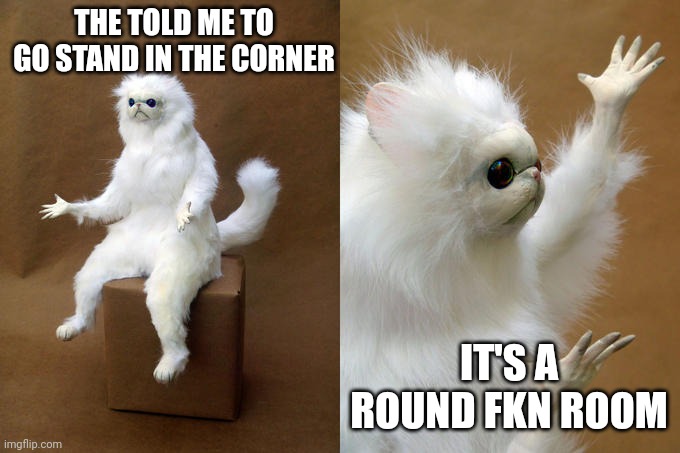 Persian Cat Room Guardian Meme | THE TOLD ME TO GO STAND IN THE CORNER; IT'S A ROUND FKN ROOM | image tagged in memes,persian cat room guardian | made w/ Imgflip meme maker