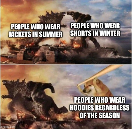 Fr tho | PEOPLE WHO WEAR SHORTS IN WINTER; PEOPLE WHO WEAR JACKETS IN SUMMER; PEOPLE WHO WEAR HOODIES REGARDLESS OF THE SEASON | image tagged in kong godzilla doge | made w/ Imgflip meme maker