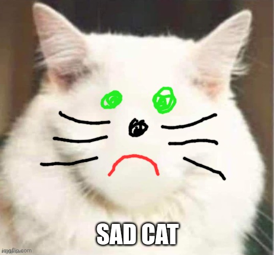SAD CAT | made w/ Imgflip meme maker