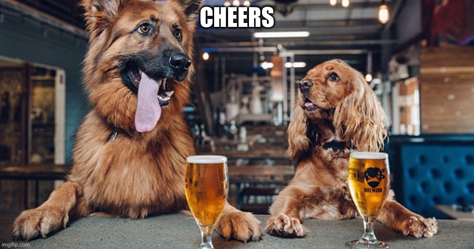 Cheers | CHEERS | image tagged in dog drinking,cheers | made w/ Imgflip meme maker