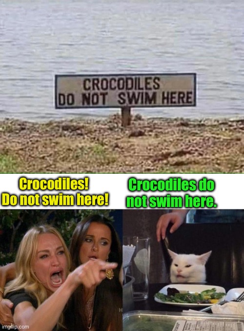 Crocs | Crocodiles!  Do not swim here! Crocodiles do not swim here. | image tagged in memes,woman yelling at cat | made w/ Imgflip meme maker