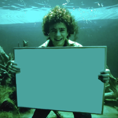 Walker underwater Blank Meme Template