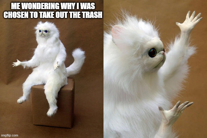 Persian Cat Room Guardian | ME WONDERING WHY I WAS CHOSEN TO TAKE OUT THE TRASH | image tagged in memes,persian cat room guardian | made w/ Imgflip meme maker