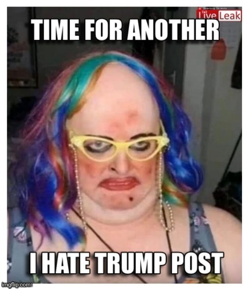 I hate Trump post | image tagged in i hate trump post | made w/ Imgflip meme maker