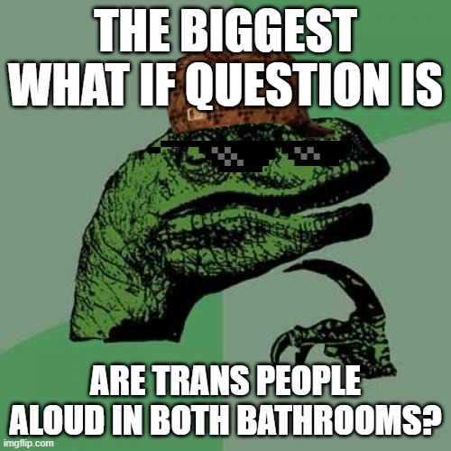 Bathrooms | THE BIGGEST WHAT IF QUESTION IS; ARE TRANS PEOPLE ALOUD IN BOTH BATHROOMS? | image tagged in memes,philosoraptor | made w/ Imgflip meme maker