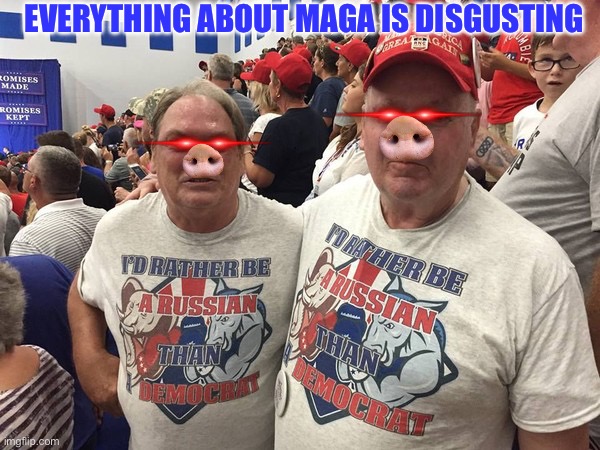 I'd rather be Russian | EVERYTHING ABOUT MAGA IS DISGUSTING | image tagged in i'd rather be russian | made w/ Imgflip meme maker