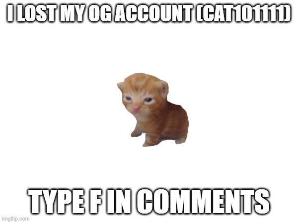 accounts | I LOST MY OG ACCOUNT (CAT101111); TYPE F IN COMMENTS | image tagged in sad,account,alt accounts,front page plz | made w/ Imgflip meme maker