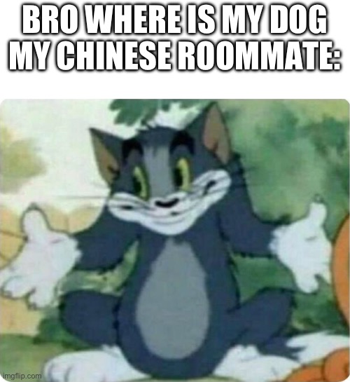 … | BRO WHERE IS MY DOG
MY CHINESE ROOMMATE: | image tagged in tom shrugging | made w/ Imgflip meme maker