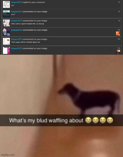 what is wrong with this dude | image tagged in what's my blud waffling about | made w/ Imgflip meme maker
