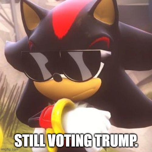 Shadow with sunglasses | STILL VOTING TRUMP. | image tagged in shadow with sunglasses,donald trump,vote | made w/ Imgflip meme maker