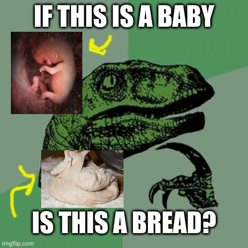 13 week fetus vs dough | IF THIS IS A BABY; IS THIS A BREAD? | image tagged in memes,philosoraptor | made w/ Imgflip meme maker