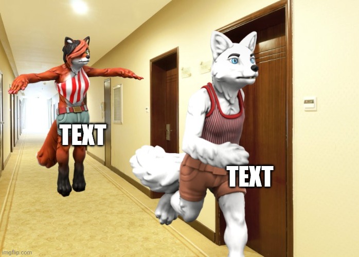 TEXT; TEXT | image tagged in candystripe running from floating gingerfox | made w/ Imgflip meme maker