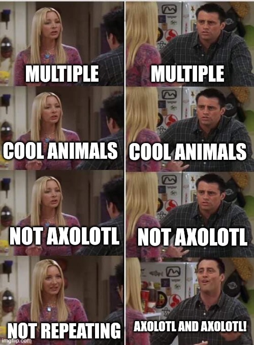 Phoebe Joey Imgflip