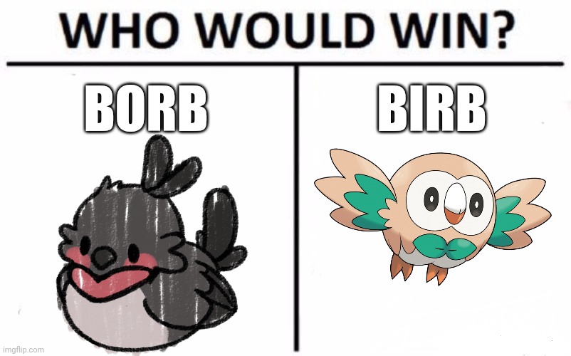 BORB; BIRB | image tagged in birb,or,borb | made w/ Imgflip meme maker