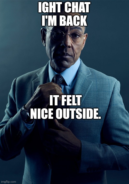 Gus Fring we are not the same | IGHT CHAT I'M BACK; IT FELT NICE OUTSIDE. | image tagged in gus fring we are not the same | made w/ Imgflip meme maker