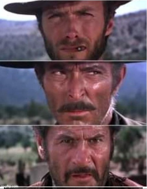the ugly the bad and the good | image tagged in the ugly the bad and the good | made w/ Imgflip meme maker