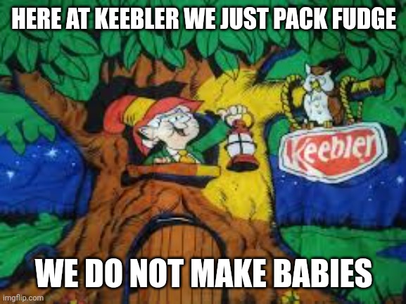Keebler fudge house | HERE AT KEEBLER WE JUST PACK FUDGE WE DO NOT MAKE BABIES | image tagged in keebler fudge house | made w/ Imgflip meme maker