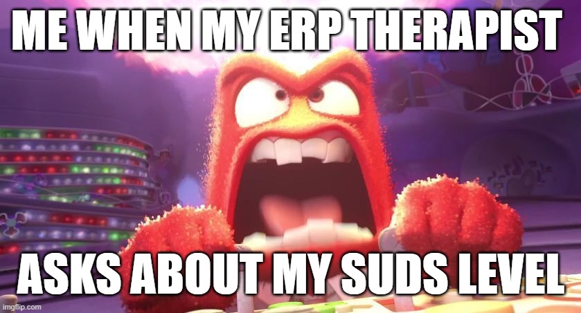 ERP Therapist | ME WHEN MY ERP THERAPIST; ASKS ABOUT MY SUDS LEVEL | image tagged in inside out anger | made w/ Imgflip meme maker