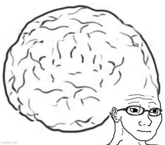 Big Brain | image tagged in big brain | made w/ Imgflip meme maker