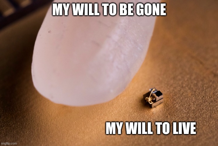 Grain Of Rice | MY WILL TO BE GONE; MY WILL TO LIVE | image tagged in grain of rice | made w/ Imgflip meme maker