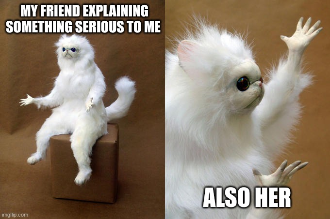 Persian Cat Room Guardian Meme | MY FRIEND EXPLAINING SOMETHING SERIOUS TO ME; ALSO HER | image tagged in memes,persian cat room guardian | made w/ Imgflip meme maker
