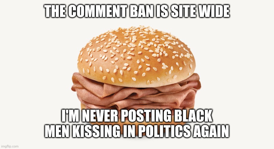 Arby's sandwich | THE COMMENT BAN IS SITE WIDE; I'M NEVER POSTING BLACK MEN KISSING IN POLITICS AGAIN | image tagged in arby's sandwich | made w/ Imgflip meme maker