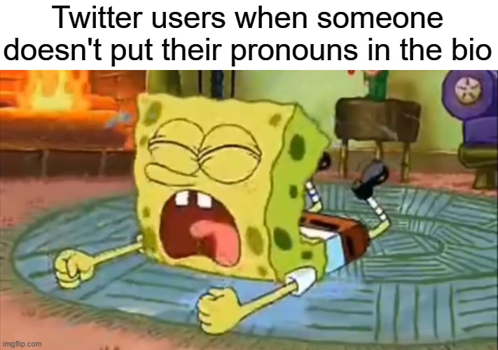 Nobody cares about pronouns | Twitter users when someone doesn't put their pronouns in the bio | image tagged in spongebob temper tantrum,twitter,pronouns | made w/ Imgflip meme maker
