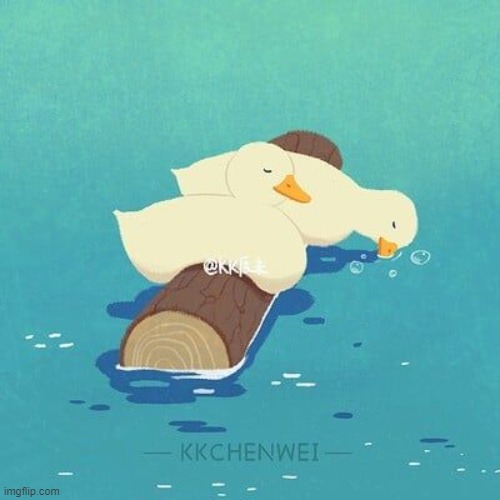 image tagged in ducks,memes,funny | made w/ Imgflip meme maker