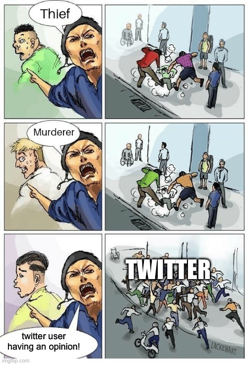Theif! Murderer! | TWITTER; twitter user having an opinion! | image tagged in theif murderer,twitter | made w/ Imgflip meme maker