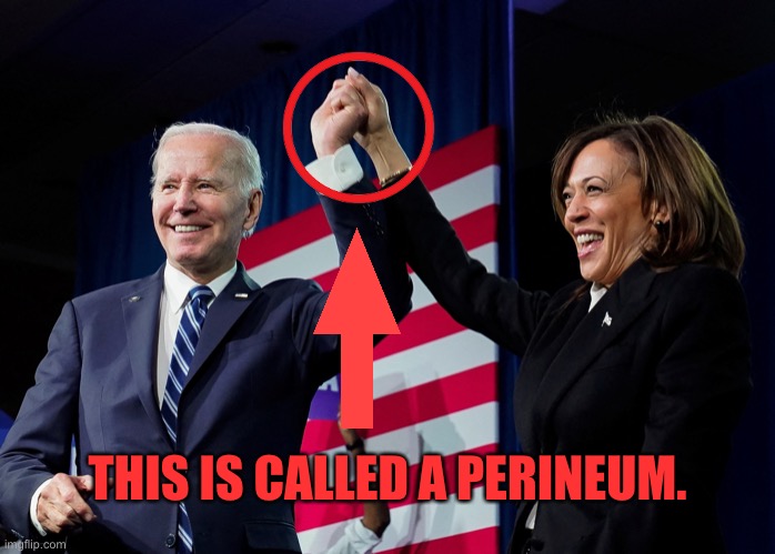 Democrat Perineum | THIS IS CALLED A PERINEUM. | made w/ Imgflip meme maker