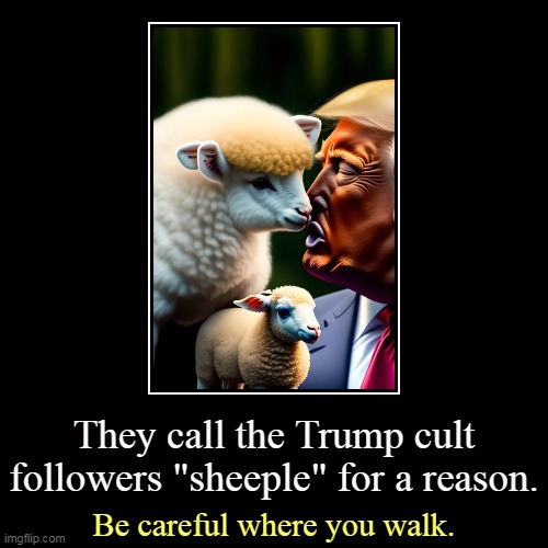 Watch your step, there. | They call the Trump cult followers "sheeple" for a reason. | Be careful where you walk. | image tagged in funny,demotivationals,trump,cult,sheeple | made w/ Imgflip demotivational maker