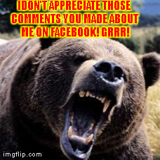 IDON'T APPRECIATE THOSE COMMENTS YOU MADE ABOUT ME ON FACEBOOK! GRRR! | image tagged in angry bear | made w/ Imgflip meme maker