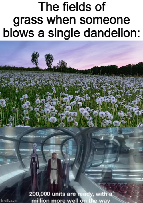 This is very true :D | The fields of grass when someone blows a single dandelion: | image tagged in 200 000 units are ready with a million more well on the way | made w/ Imgflip meme maker