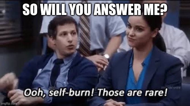 Ooh, self-burn! Those are rare! | SO WILL YOU ANSWER ME? | image tagged in ooh self-burn those are rare | made w/ Imgflip meme maker