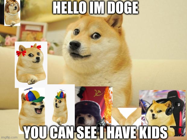 i have kids | HELLO IM DOGE; YOU CAN SEE I HAVE KIDS | image tagged in memes,doge 2 | made w/ Imgflip meme maker