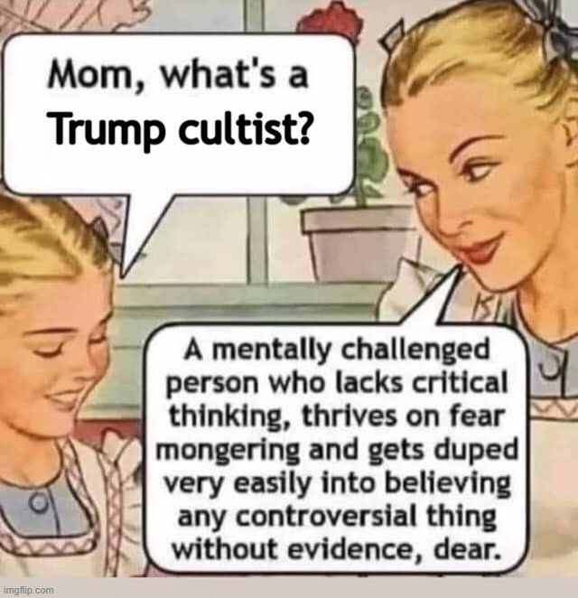 mom, this is why we cant have nice things, huh? | Trump cultist? | image tagged in conspiracy theories | made w/ Imgflip meme maker