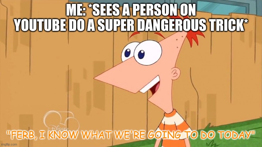 DON'T. DO. IT. | ME: *SEES A PERSON ON YOUTUBE DO A SUPER DANGEROUS TRICK*; "FERB, I KNOW WHAT WE'RE GOING TO DO TODAY" | image tagged in yes phineas | made w/ Imgflip meme maker