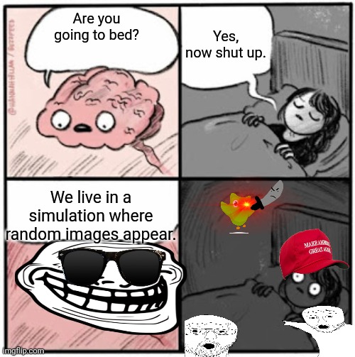 Image Title | Yes, now shut up. Are you going to bed? We live in a simulation where random images appear. | image tagged in brain before sleep | made w/ Imgflip meme maker