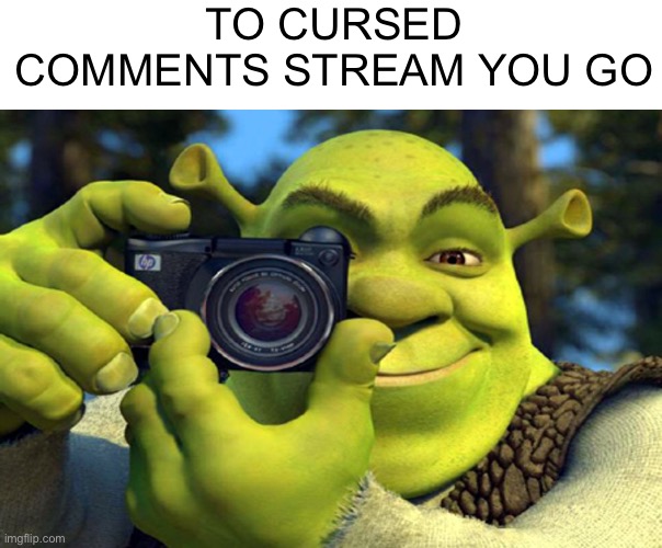 shrek camera | TO CURSED COMMENTS STREAM YOU GO | image tagged in shrek camera | made w/ Imgflip meme maker