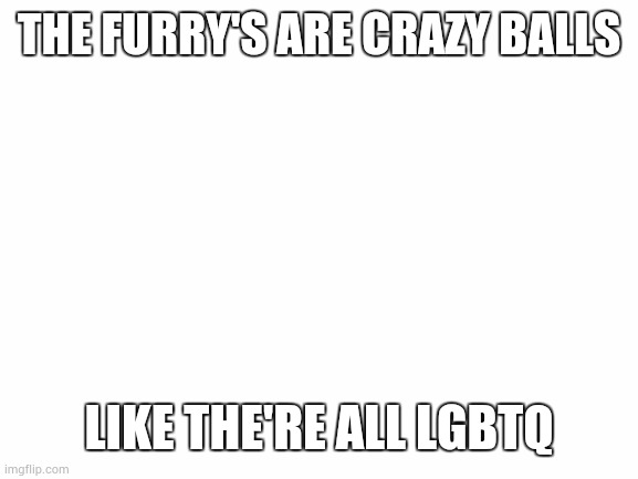 Blank White Template | THE FURRY'S ARE CRAZY BALLS; LIKE THE'RE ALL LGBTQ | image tagged in blank white template | made w/ Imgflip meme maker