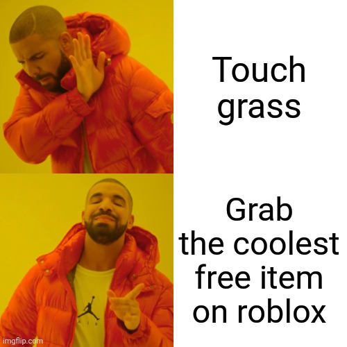 Drake Hotline Bling Meme | Touch grass; Grab the coolest free item on roblox | image tagged in memes,drake hotline bling | made w/ Imgflip meme maker