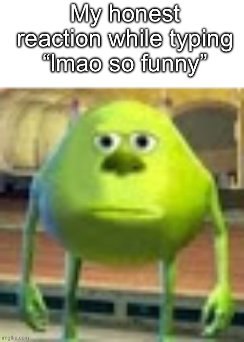 My honest reaction | My honest reaction while typing “lmao so funny” | image tagged in sully wazowski,relatable | made w/ Imgflip meme maker
