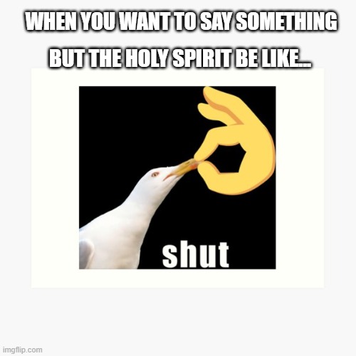 shut | WHEN YOU WANT TO SAY SOMETHING; BUT THE HOLY SPIRIT BE LIKE... | image tagged in holy spirit be like | made w/ Imgflip meme maker