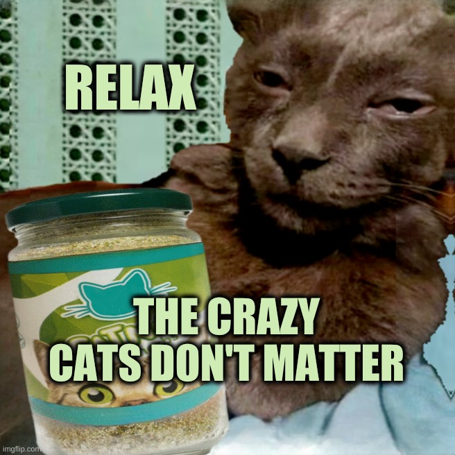 Shit Poster 4 Lyfe | RELAX; THE CRAZY CATS DON'T MATTER | image tagged in ship osta 4 lyfe,cats,crazy,relax,catnip,10 guy | made w/ Imgflip meme maker