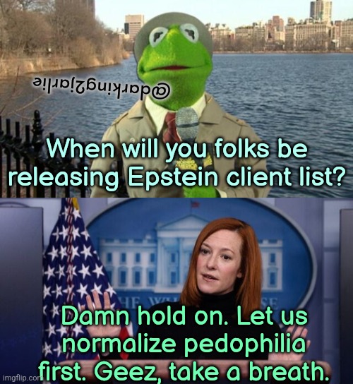 Press Secretary | @darking2jarlie; When will you folks be releasing Epstein client list? Damn hold on. Let us normalize pedophilia first. Geez, take a breath. | image tagged in kermit news report,press secretary,democrats,epstein,deep state,america | made w/ Imgflip meme maker
