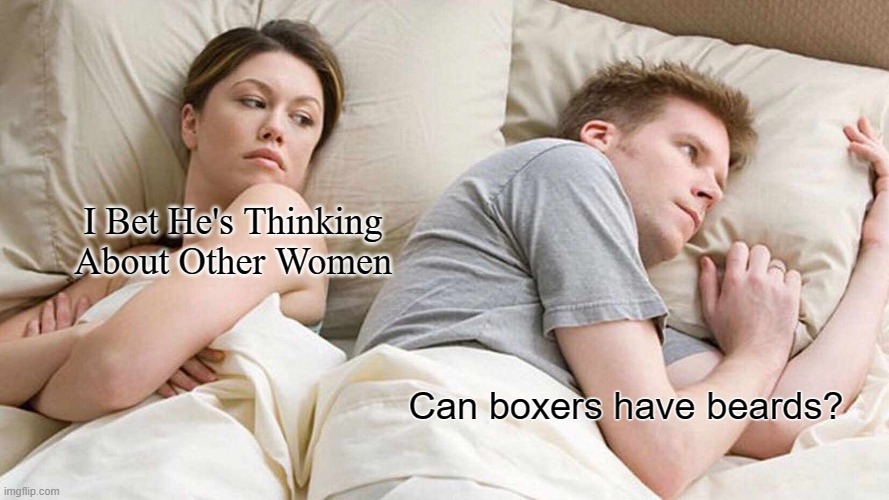 Thinking Meme Boxers